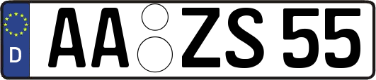 AA-ZS55