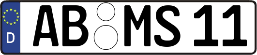 AB-MS11