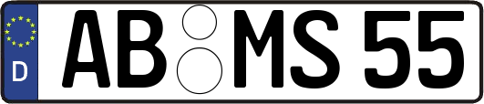 AB-MS55