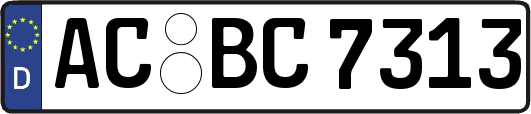 AC-BC7313