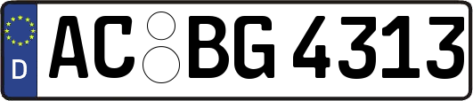 AC-BG4313