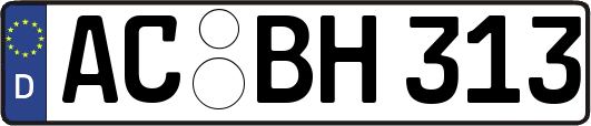 AC-BH313