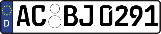 AC-BJ0291