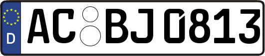 AC-BJ0813