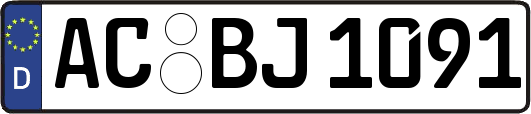 AC-BJ1091