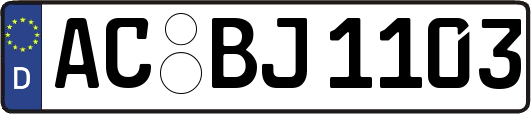AC-BJ1103
