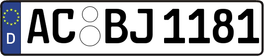 AC-BJ1181