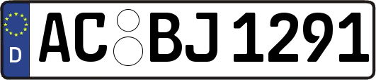 AC-BJ1291