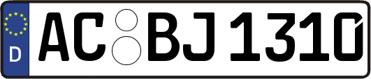 AC-BJ1310