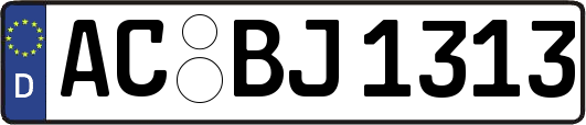 AC-BJ1313