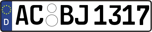AC-BJ1317
