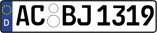 AC-BJ1319