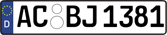 AC-BJ1381