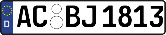 AC-BJ1813