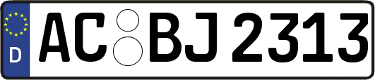 AC-BJ2313