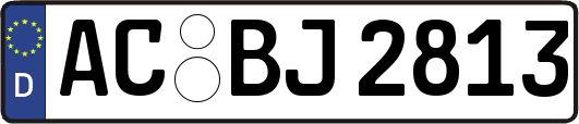 AC-BJ2813