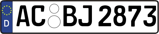 AC-BJ2873