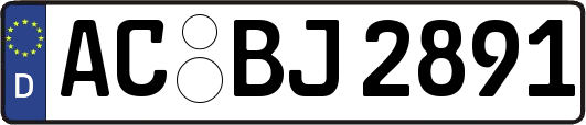 AC-BJ2891