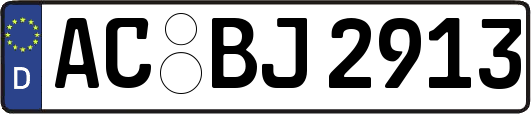 AC-BJ2913