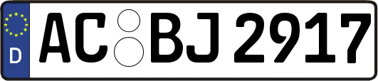 AC-BJ2917