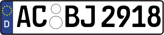 AC-BJ2918