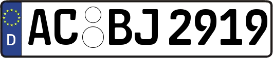 AC-BJ2919