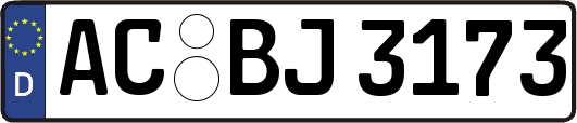 AC-BJ3173