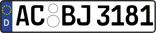 AC-BJ3181