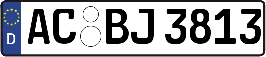 AC-BJ3813