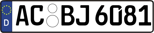 AC-BJ6081