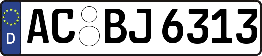 AC-BJ6313