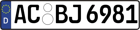 AC-BJ6981