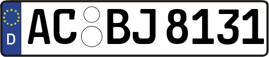 AC-BJ8131
