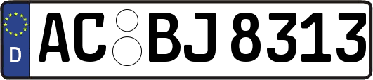 AC-BJ8313