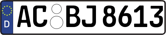 AC-BJ8613