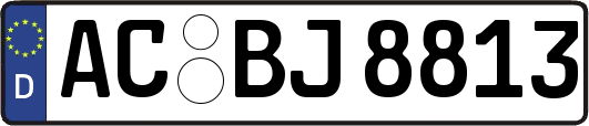 AC-BJ8813