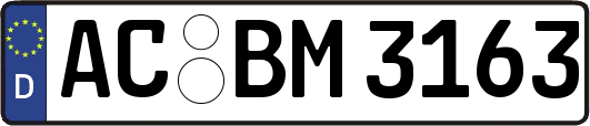 AC-BM3163