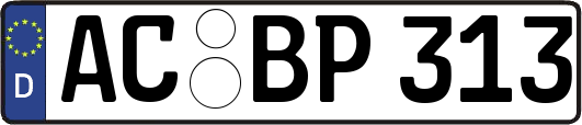 AC-BP313