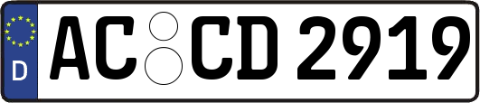 AC-CD2919