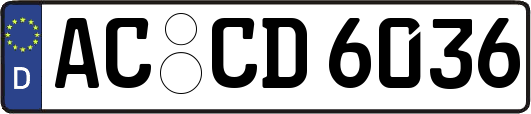 AC-CD6036