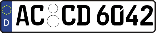 AC-CD6042