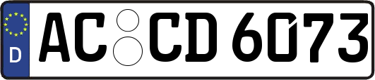 AC-CD6073