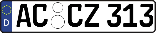 AC-CZ313