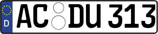 AC-DU313