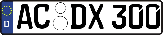 AC-DX300