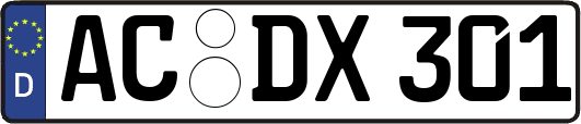 AC-DX301