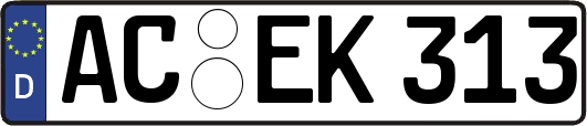 AC-EK313