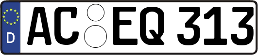 AC-EQ313