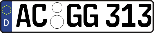 AC-GG313