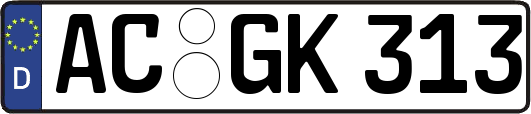 AC-GK313